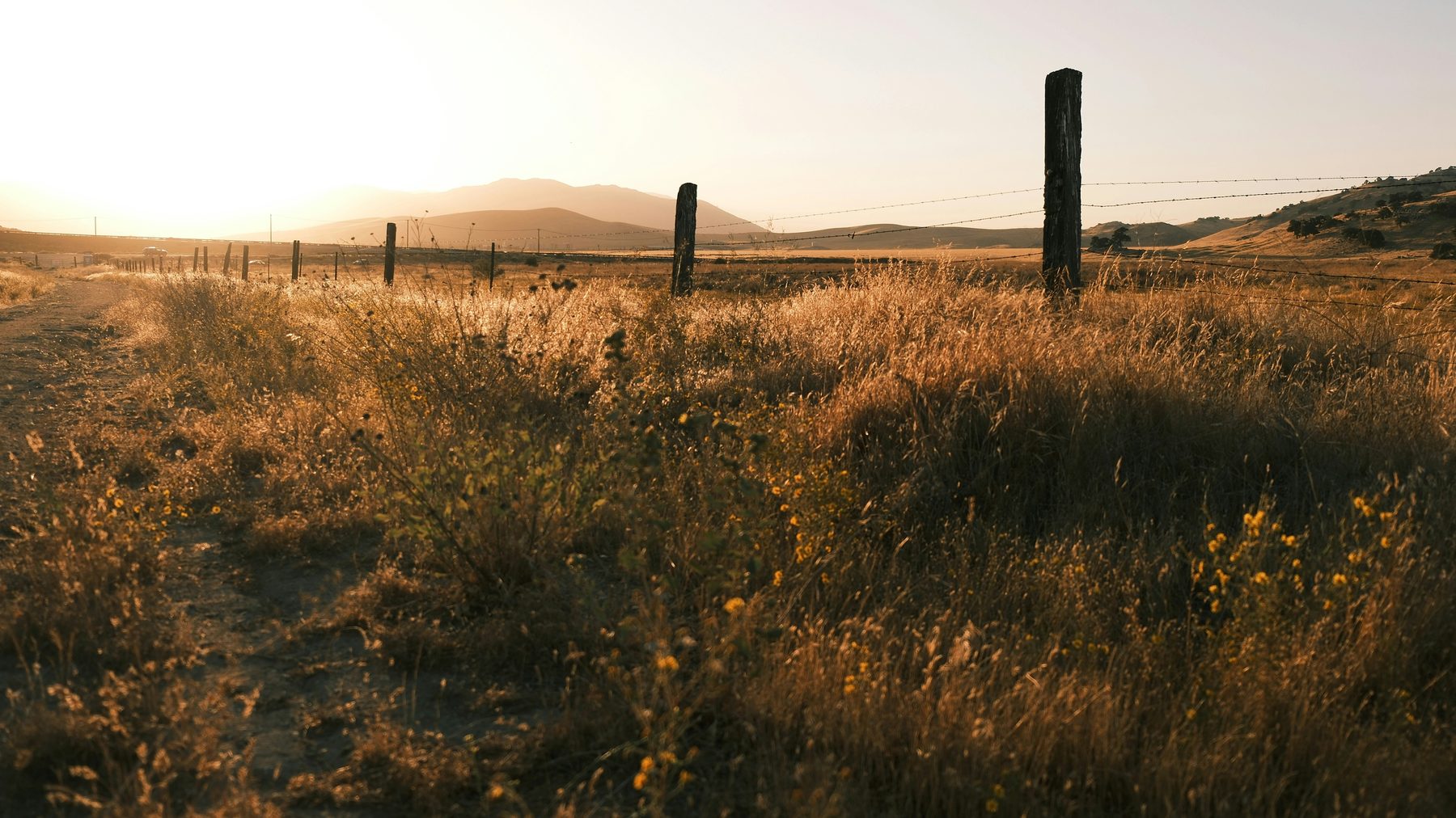 Fenced rural pasture, the seller financed land behind the notes Damen Capital buys