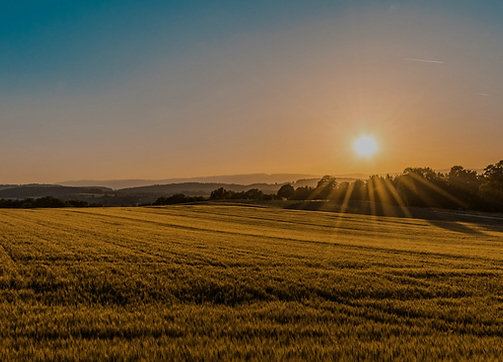 Vacant land at sunset